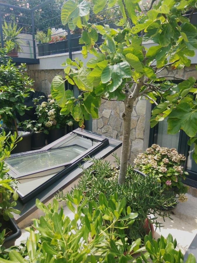 Artspace Location-Opatija-3 Bedroom House With Rooftop Garden By Beach Extérieur photo
