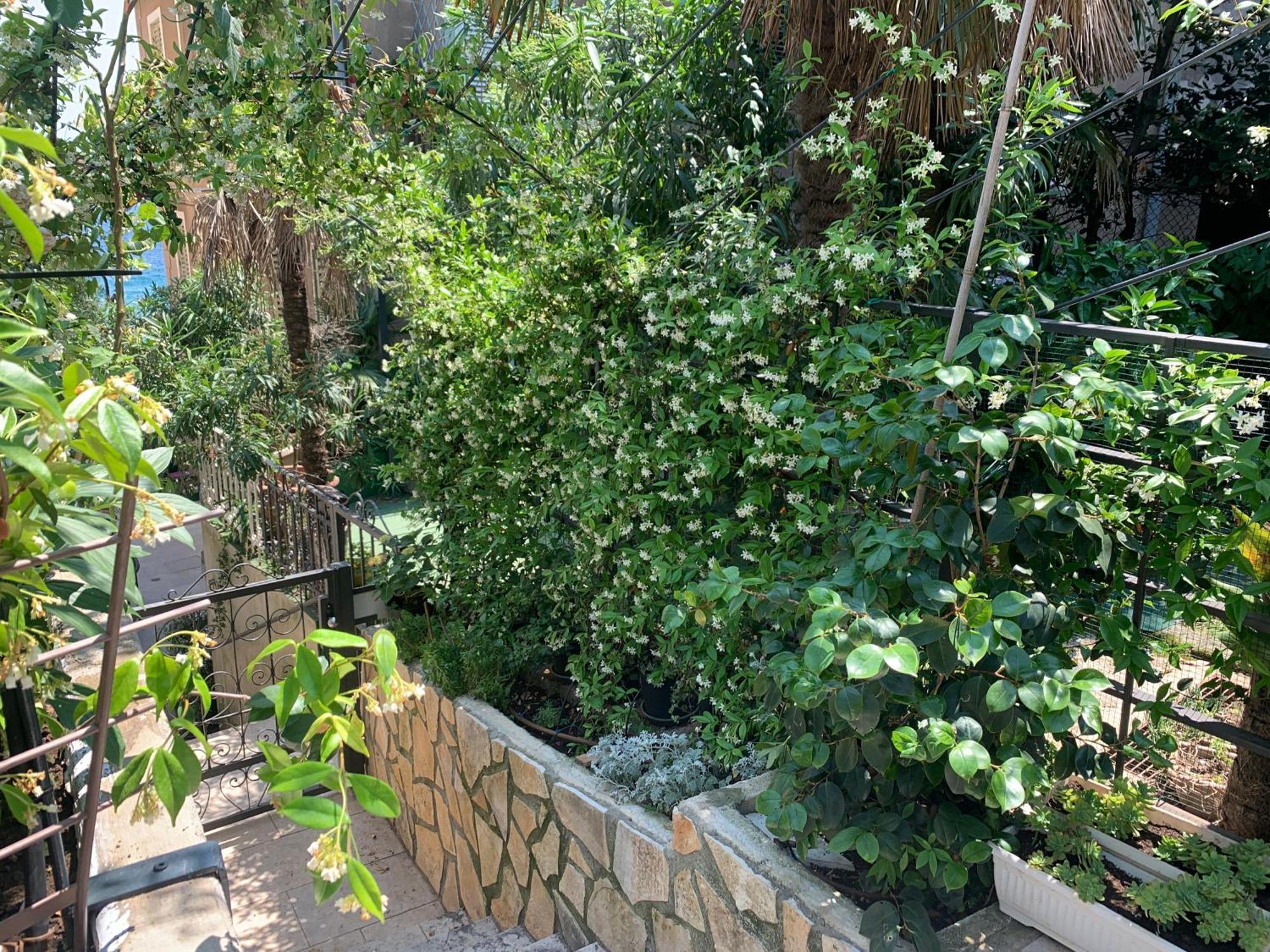 Artspace Location-Opatija-3 Bedroom House With Rooftop Garden By Beach Extérieur photo
